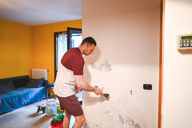 Mold Removal Process in Haleyville, AL