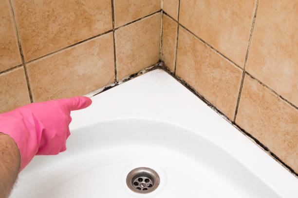 Best Crawl Space Mold Removal  in Heyville, AL